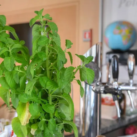 Hotel Olympic Diano Marina